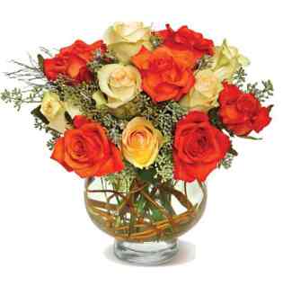 Ferns N Petals Sahid Nagar Bhubaneshwar Florists Justdial