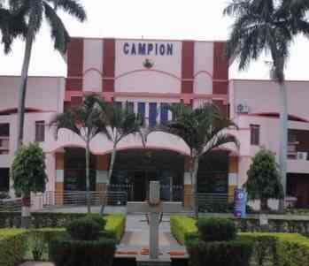 campion