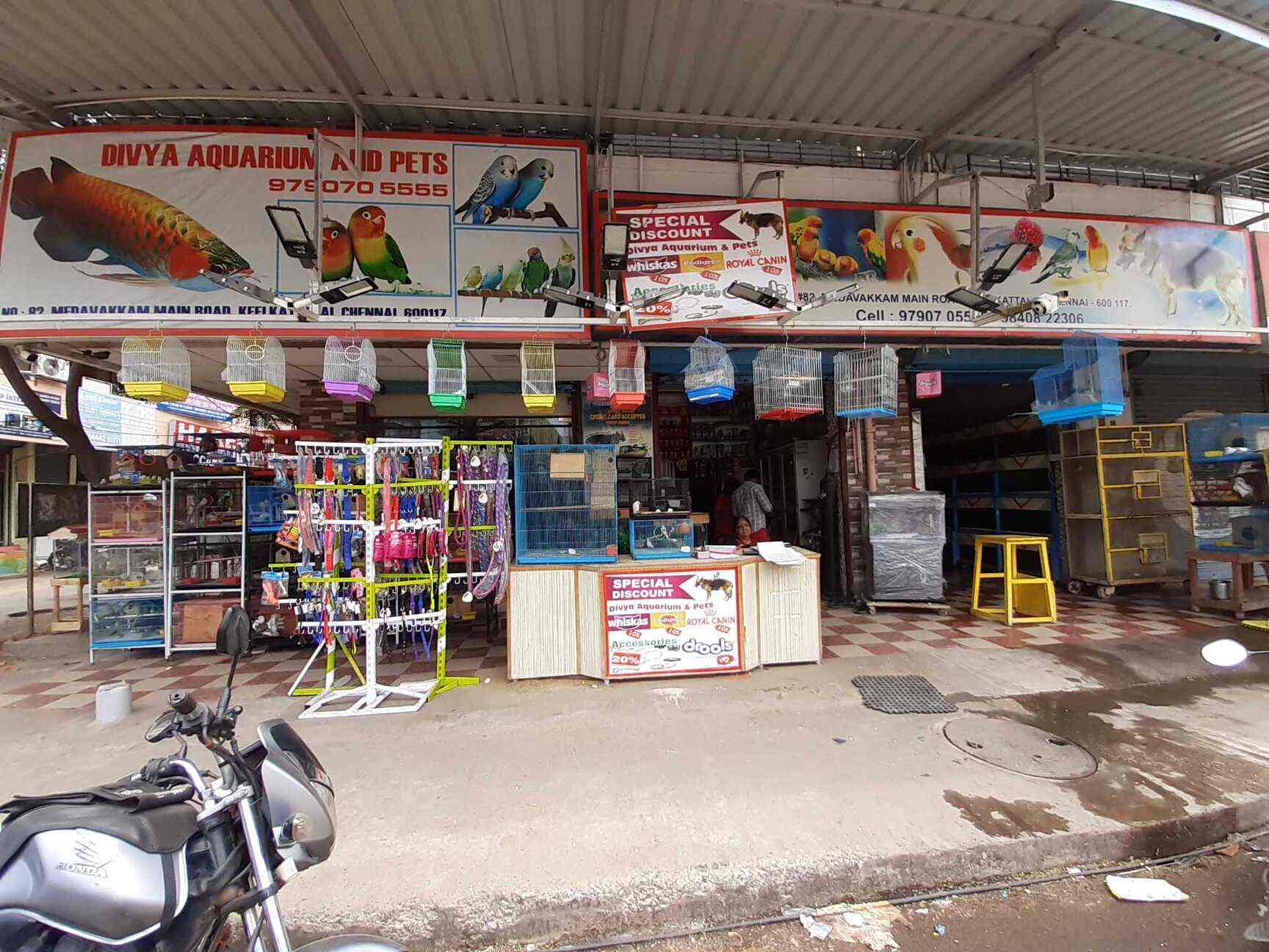 divya aquarium and pet shop