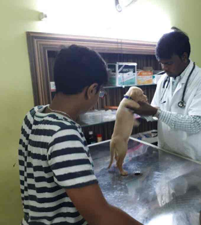 thanigai pet care hospital