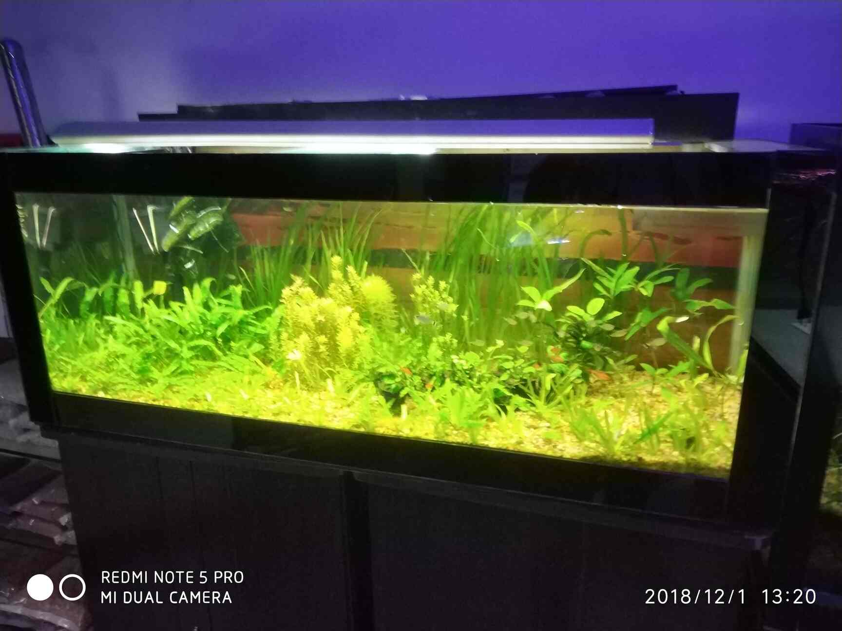 710 Aquarium Design Chennai Terbaik