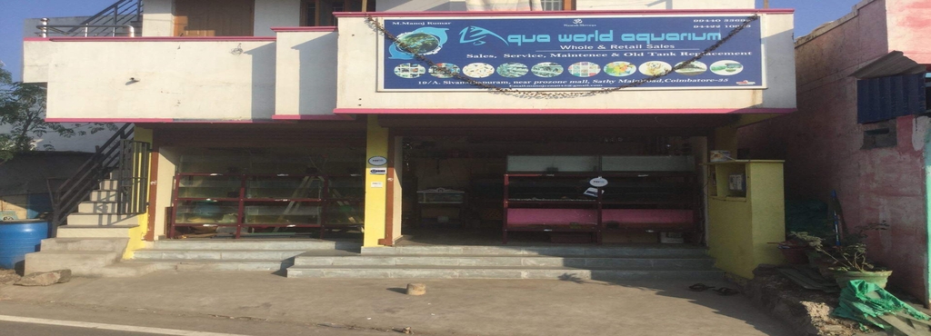 pic Garra Rufa Fish Price In Coimbatore fish garra rufa fish price in coimbatore