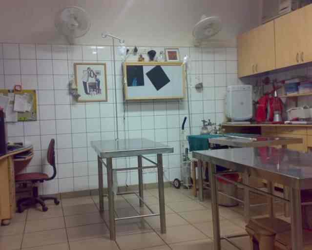 dr rana pet clinic niti bagh