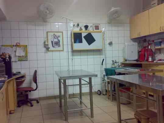 neeti bagh pet clinic