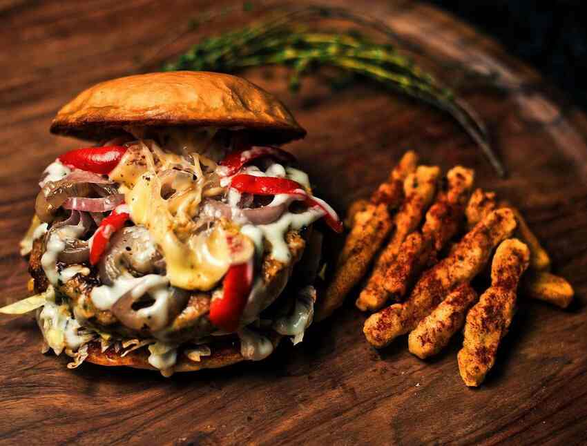 Image result for owl is well delhi