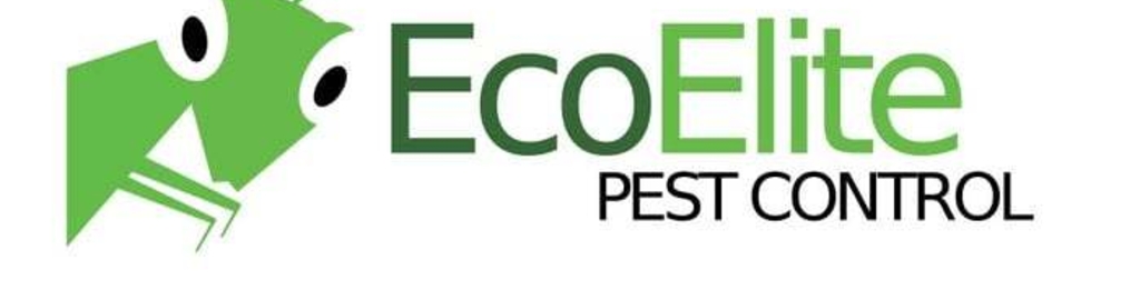 Eco Elite Pest Control Pvt Ltd Reviews Tilak Nagar Delhi Eco Elite Pest Control Pvt Ltd Reviews Tilak Nagar Delhi