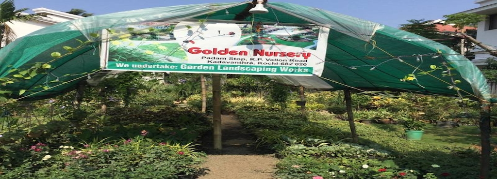 Golden Nursery Closed Kadavanthara Plant Nurseries In Golden Nursery Closed