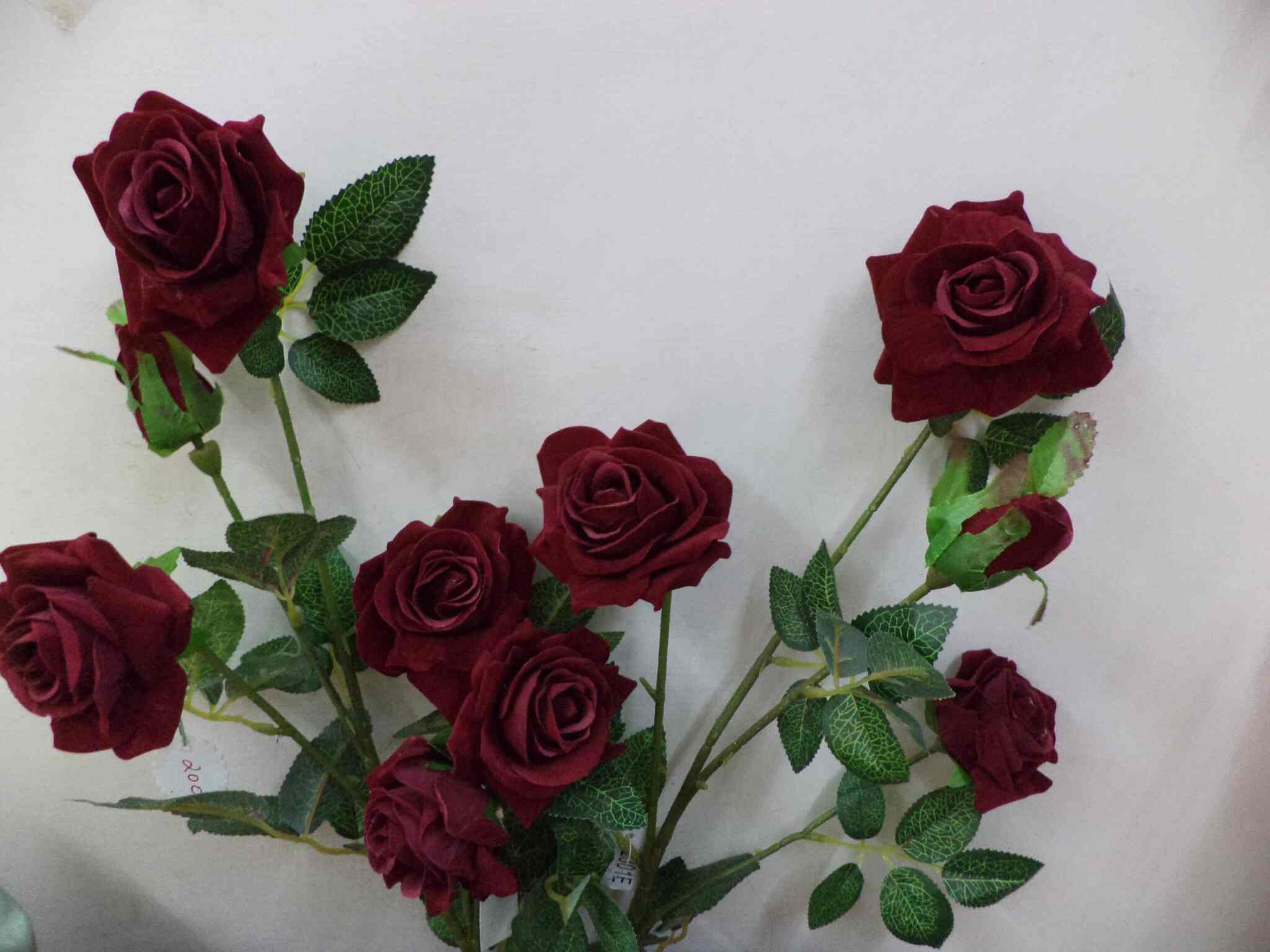 Touch Of Style Home Decor Photos Mapusa Goa Pictures Images Rose Touch Of Style Home Decor Photos Mapusa Goa Gift S