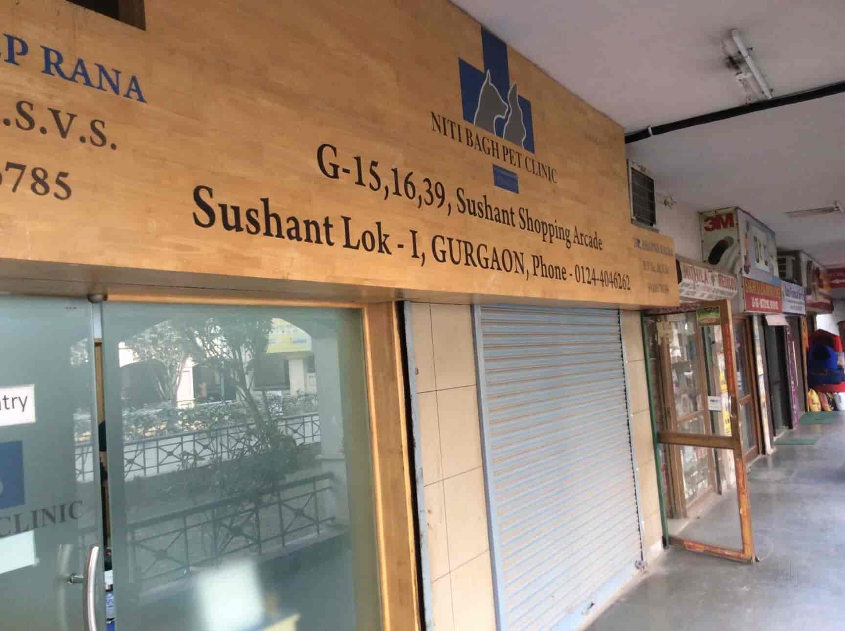 neeti bagh pet clinic