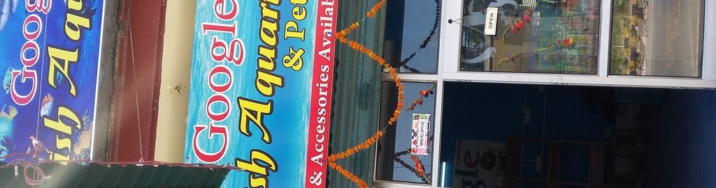 google fish aquarium closed