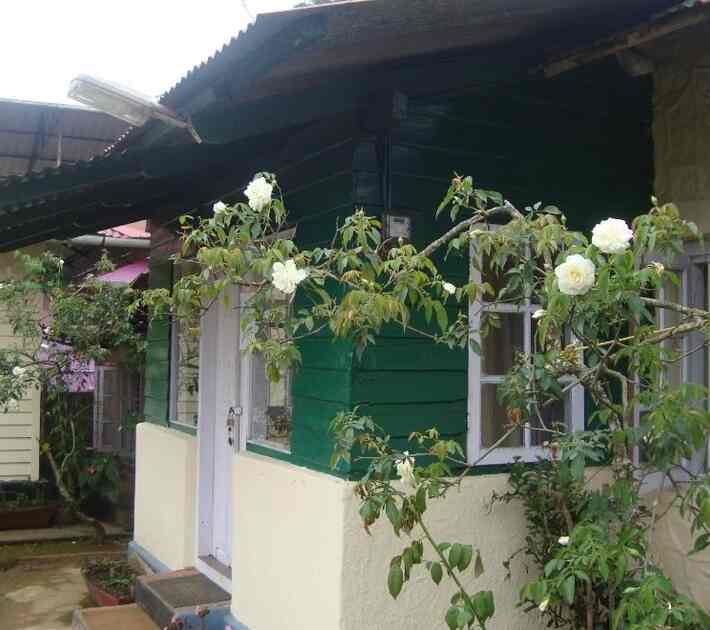 Zina Cottages Photos Munnar Idukki Idukki Pictures Images