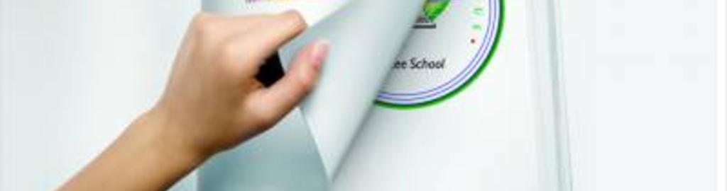 Mount Litera Zee School Photos Dhatkidih Jamshedpur Pictures