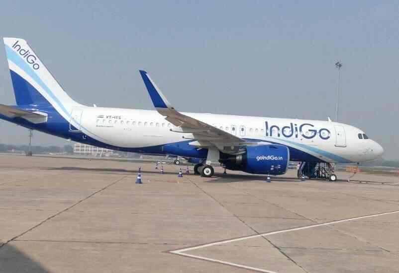 indigo airlines login