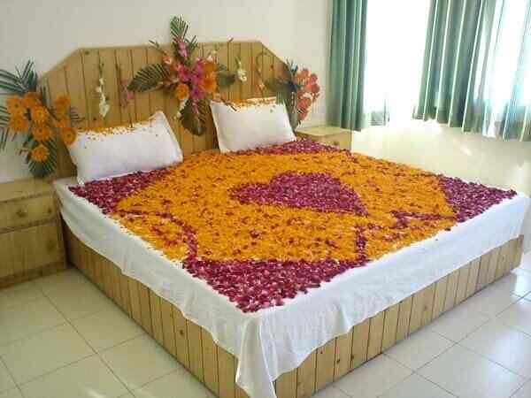 Cloud 9 Cottage Photos Kullu Pictures Images Gallery Justdial