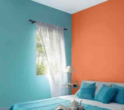 Asian paints home solutuions chennai Ass ass azz booty bottom bum butt butt pic tush