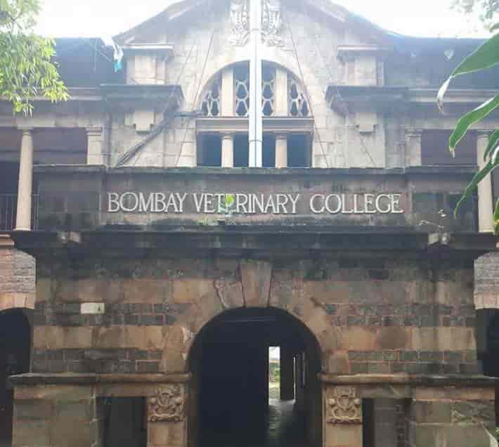 bombay veterinary college parel mumbai colleges tfoya5v7nq Top 5 Best Veterinary Hospitals In India