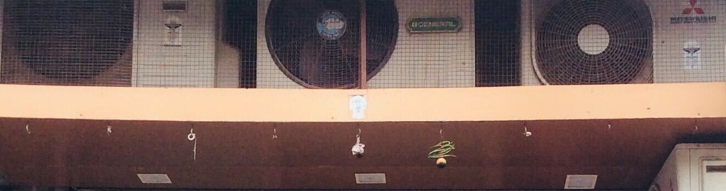 Lemybeauty Height Lemybeauty Height Parka Trillium Coupe