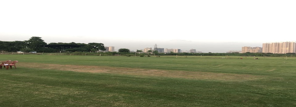 n s cricket academy