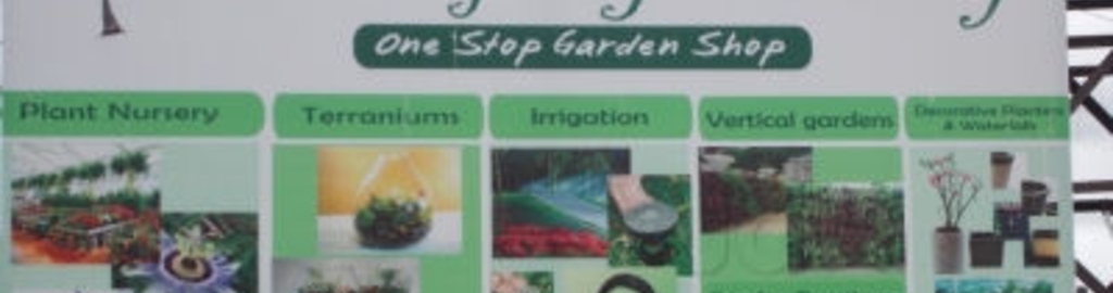 Palm Springs Nursery Reviews Loni Kalbhor Pune 14 Ratings Justdial Palm Springs Nursery