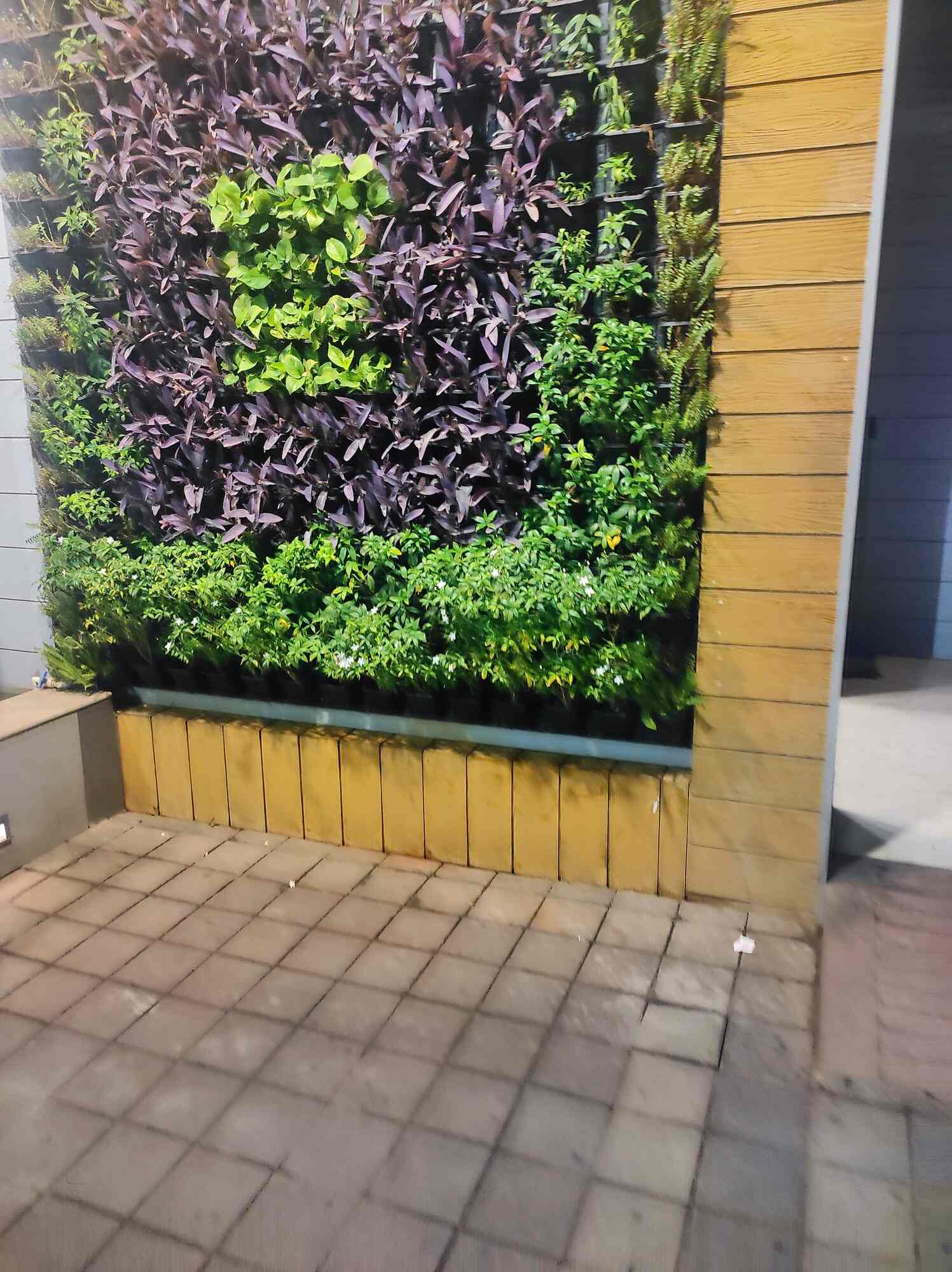 Rahul Nursery in Baner,Pune Best Plant Nurseries in Pune Justdial