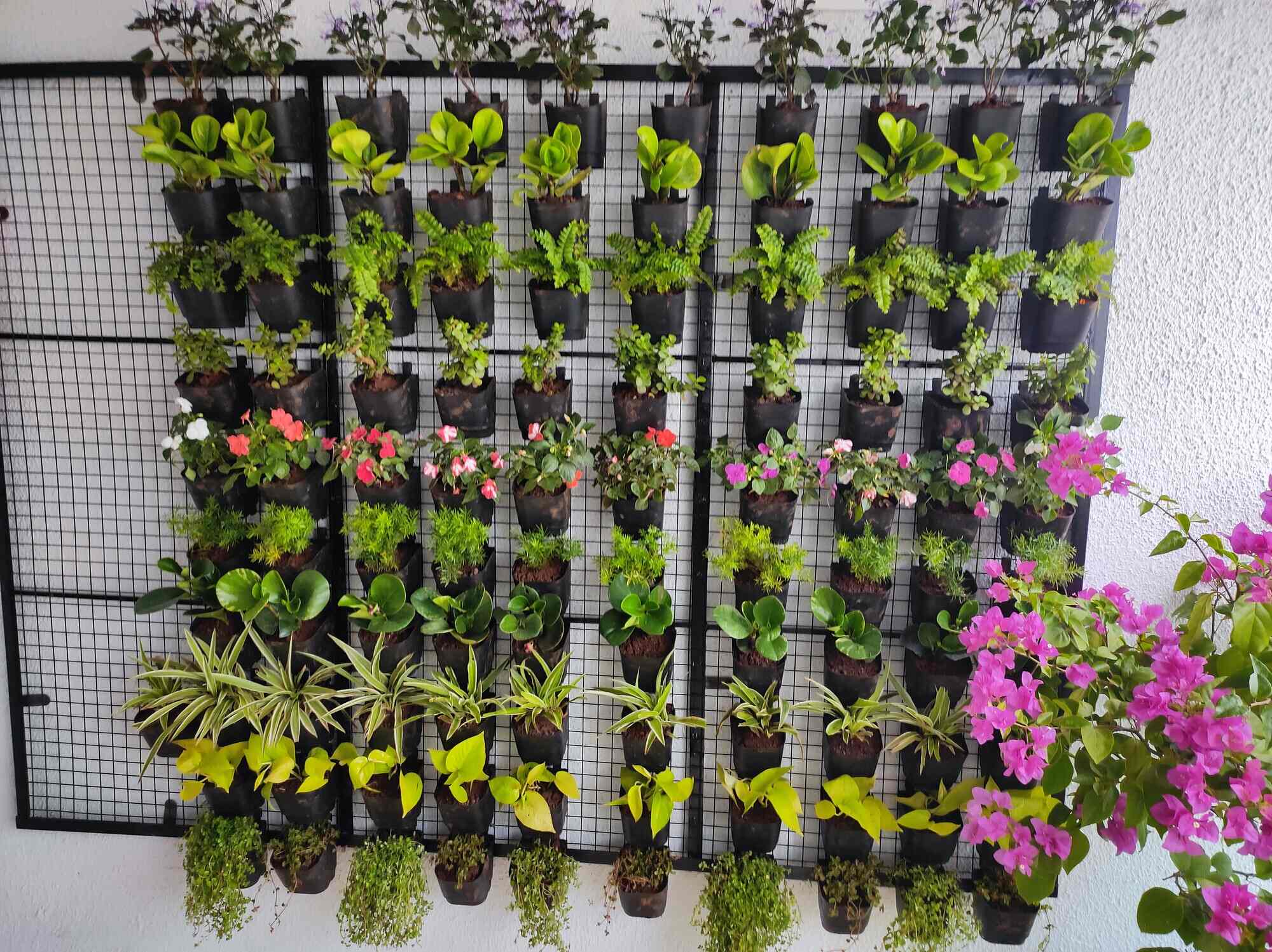 Rahul Nursery in Baner,Pune Best Plant Nurseries in Pune Justdial