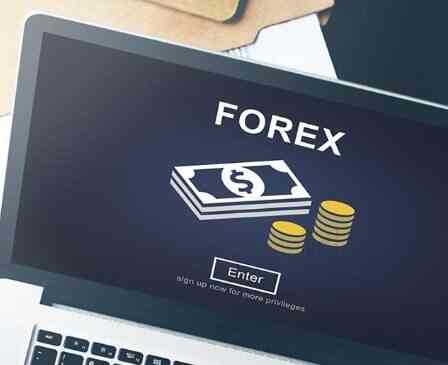 Thomas Cook India Ltd Forex Division Photos Race Course Road - 